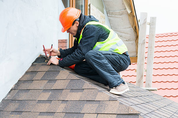 Best Sealant for Roof  in Coleraine, MN